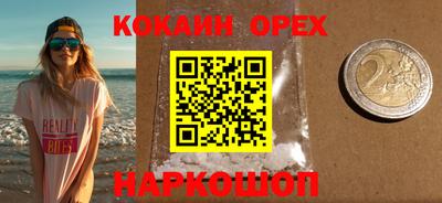 мдпв Камышлов