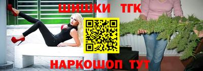 мдпв Камышлов