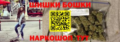 мдпв Камышлов