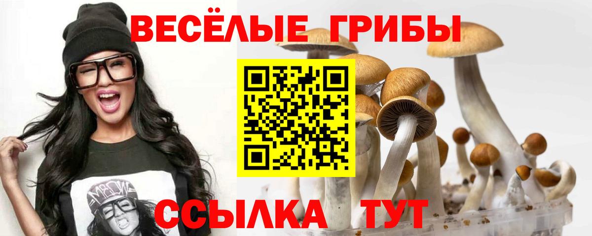 Метамфетамин Кызыл